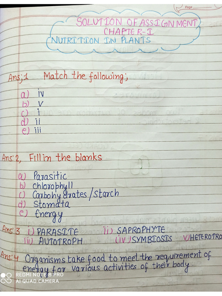 7th SCI CH 1 ASSIGNMENT SOLUTION | PDF