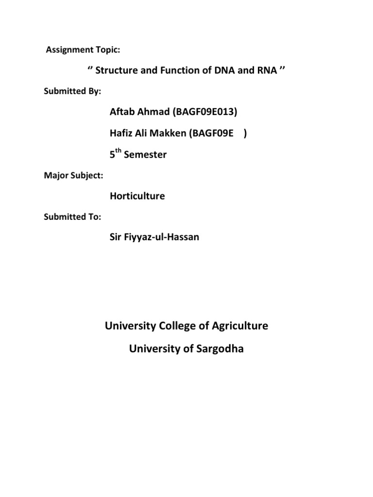 Functions of DNA and RNA | PDF | Rna | Dna