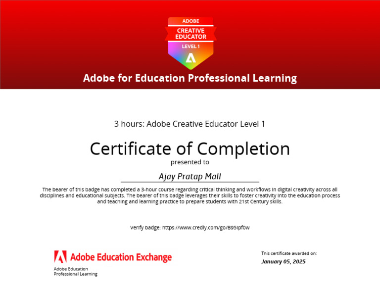 Adobe Creative Educator Level 1 Certification | PDF