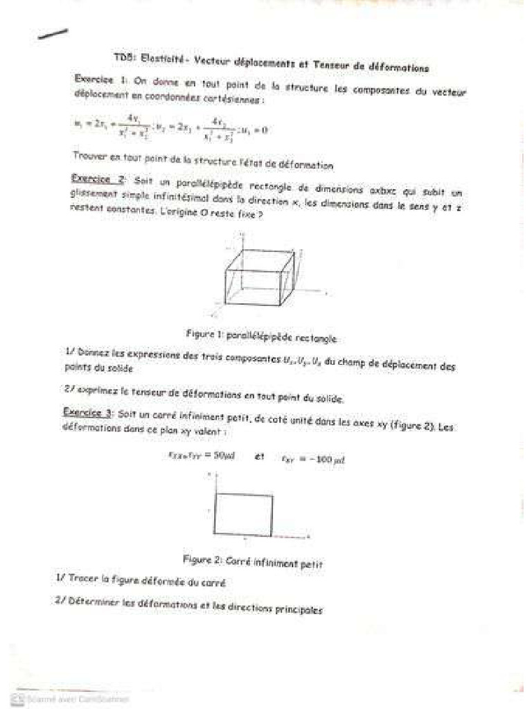 TD5 Élasticité | PDF