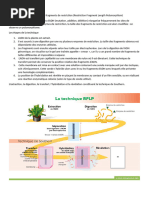 Définition et principe du RFLP | PDF | Réaction en chaîne par ...