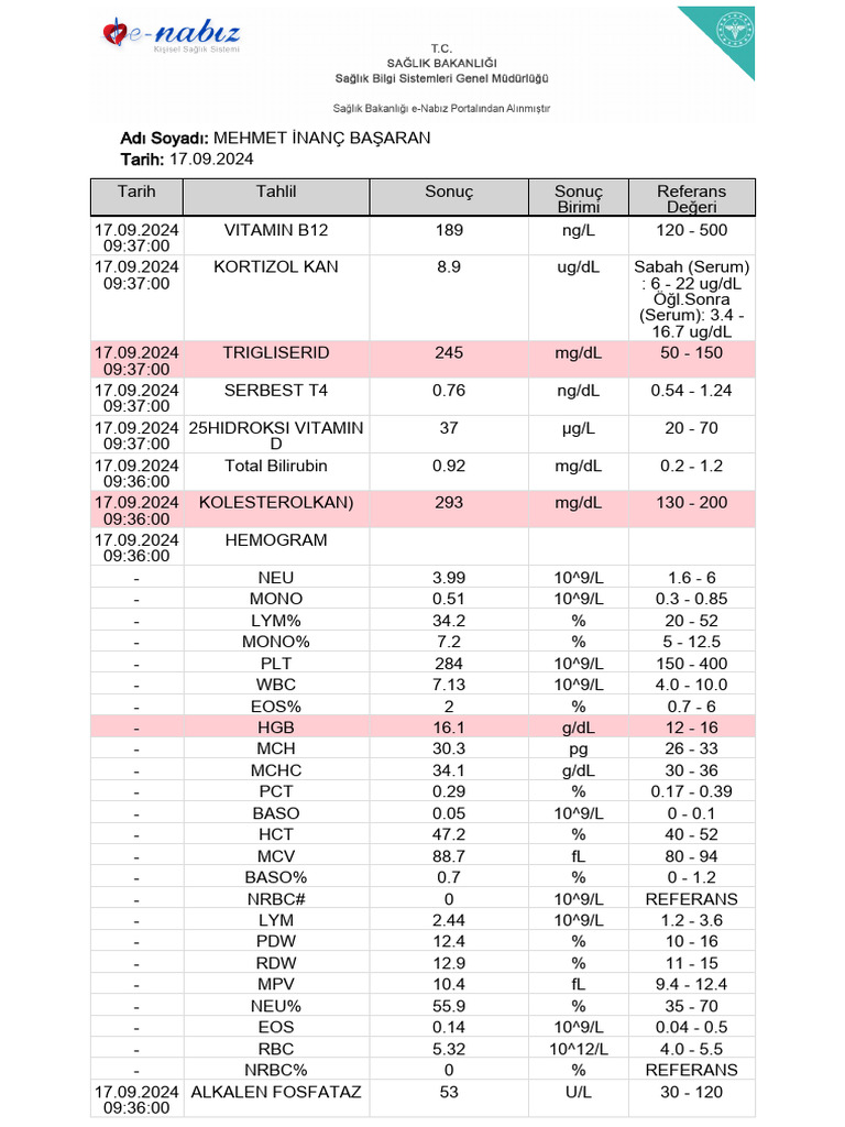 Enabiz Tahlilleri PDF