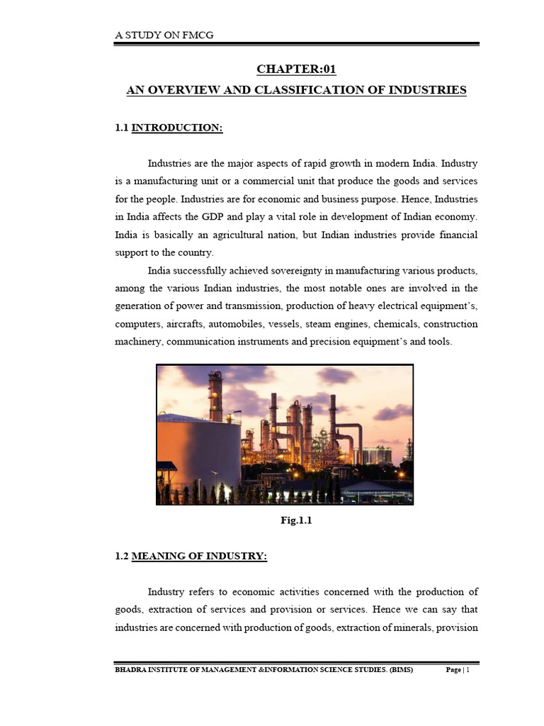 Overview of Industries in India | PDF | Economies