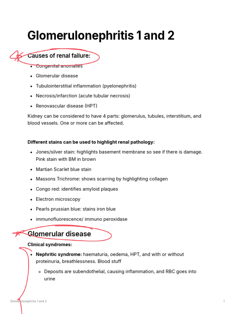 5.1.glomerulonephritis 1 and 2 | PDF | Kidney | Internal Medicine