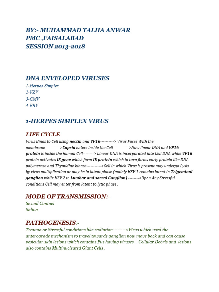 Overview of DNA Enveloped Viruses | PDF | Virus | Rabies