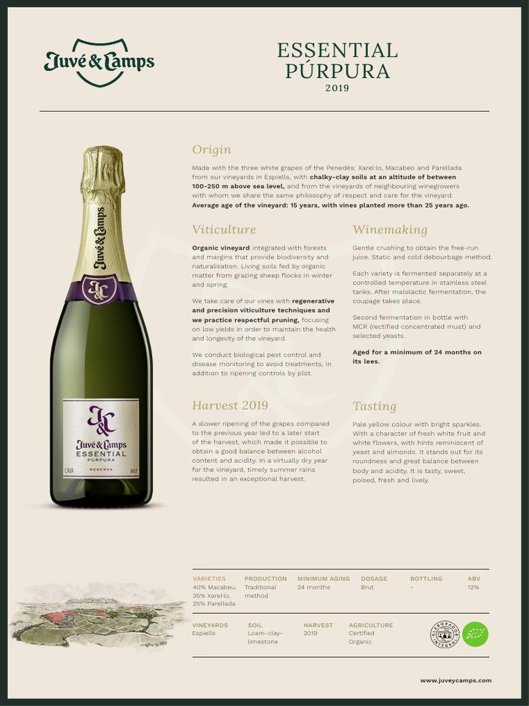 2019 Organic Penedès Sparkling Wine | PDF | Vineyard | Viticulture