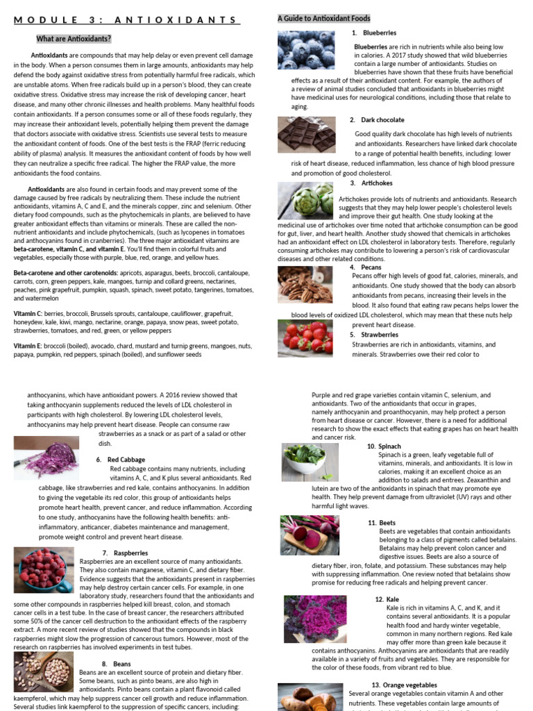 Essential Antioxidant Foods Guide | PDF | Antioxidant | Foods