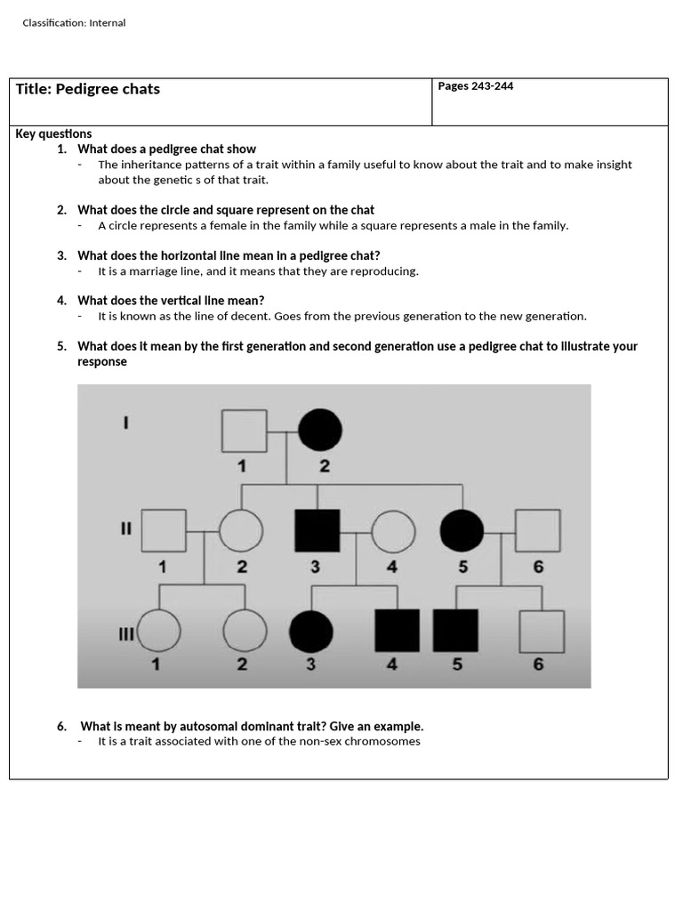 Pedigree Chart Basics | PDF