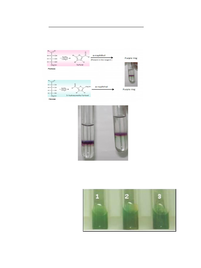 Carbohydrate Qualitative Tests Guide | PDF