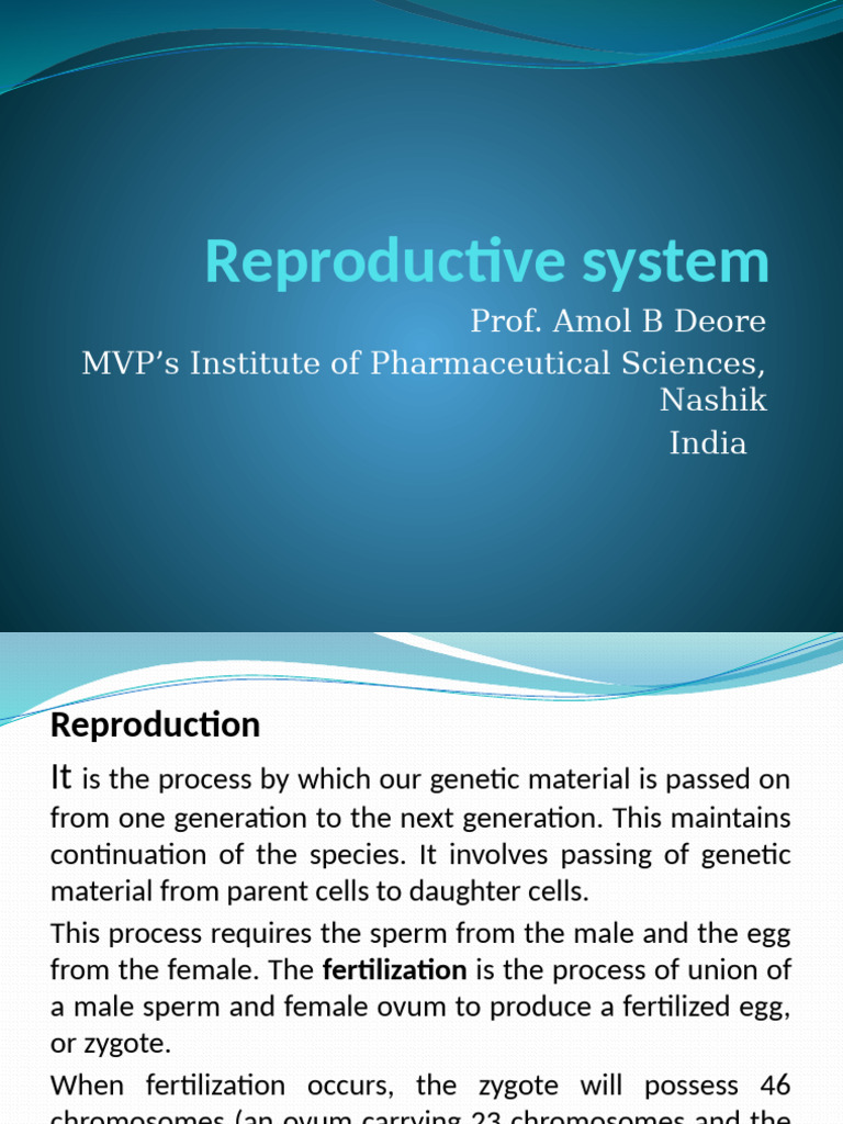 Overview of Male and Female Reproductive Systems | PDF | Menstrual ...