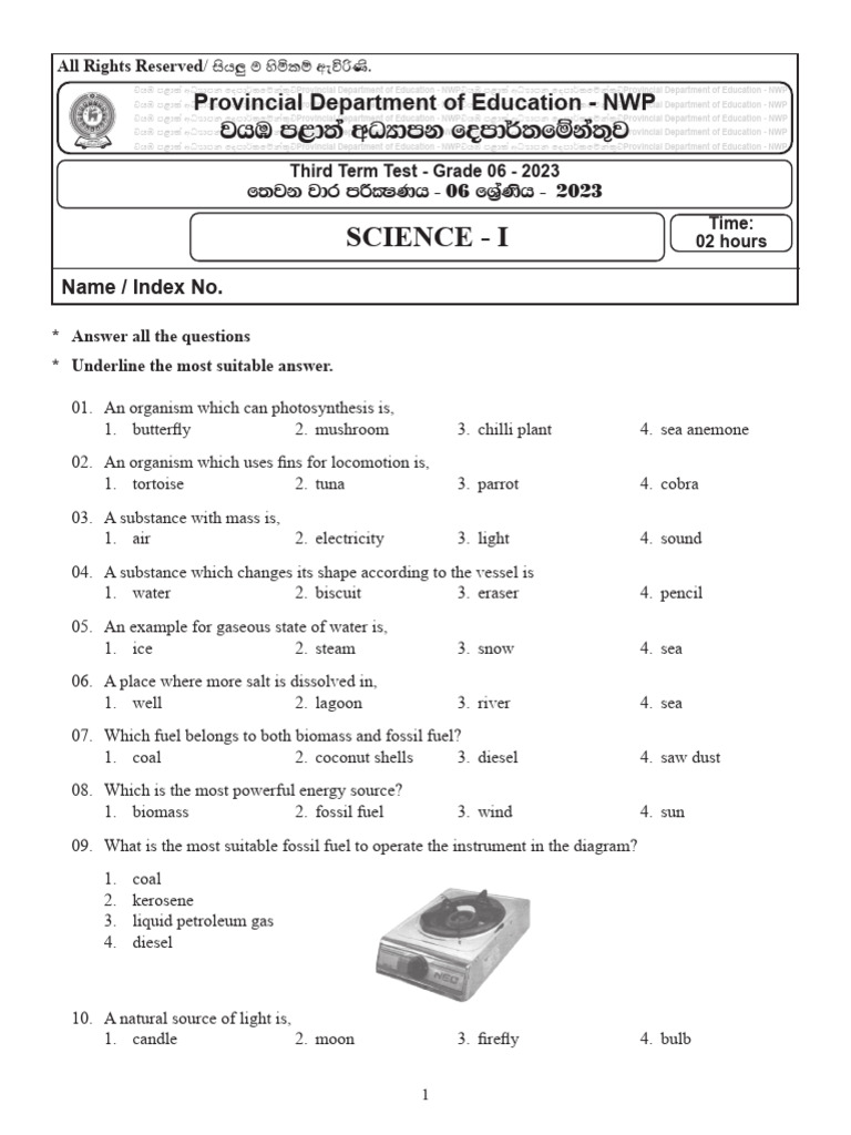 Grade 6 Science Test - 2023 | PDF