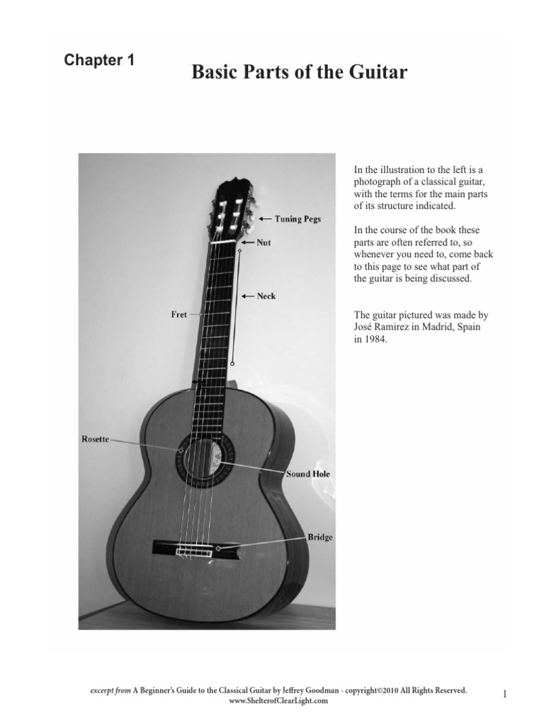 Chapter+1+ +Parts+of+the+Guitar | PDF