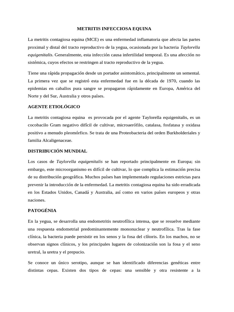 Metritis Contagiosa Equina: Causas y Tratamiento | PDF | Infección ...