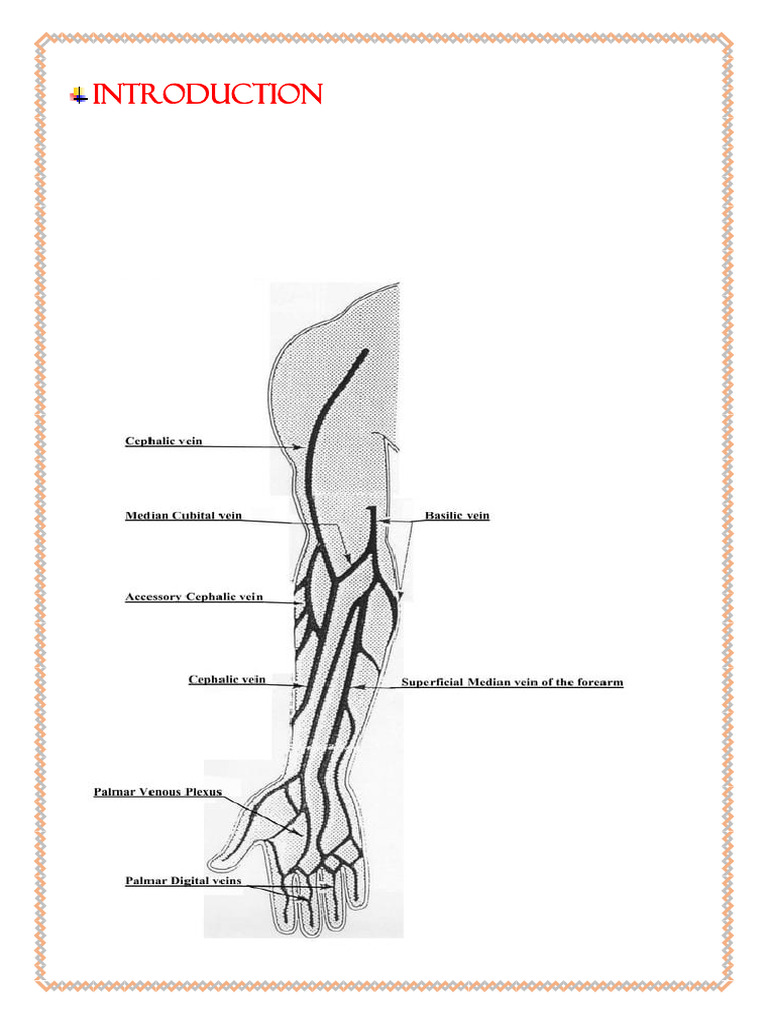 vinnu pro | PDF | Intravenous Therapy | Vein