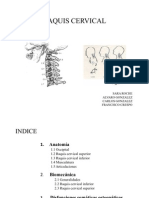 Trabajo de Raquis Cervical-Total