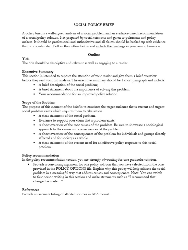 Policy Brief for Decision Makers | PDF