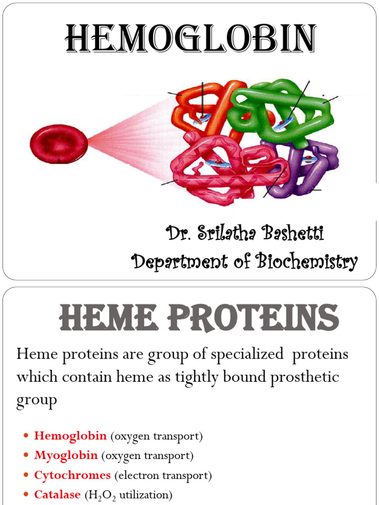 Hemoglobin | PDF | Hemoglobin | Red Blood Cell