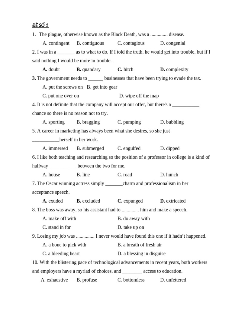 Vocabulary and Grammar Practice Test | PDF