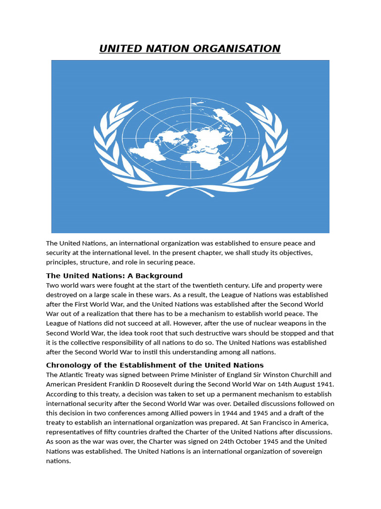 Toddle - UNITED NATION ORGANISATION | PDF | United Nations ...