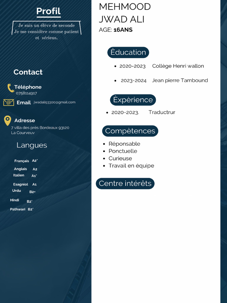 Copie de CV | PDF