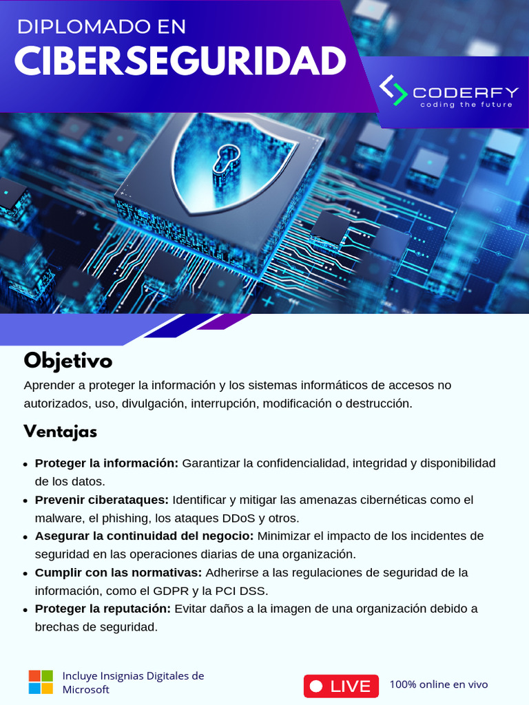 Diplomado Online en Ciberseguridad | PDF | Seguridad | La seguridad ...
