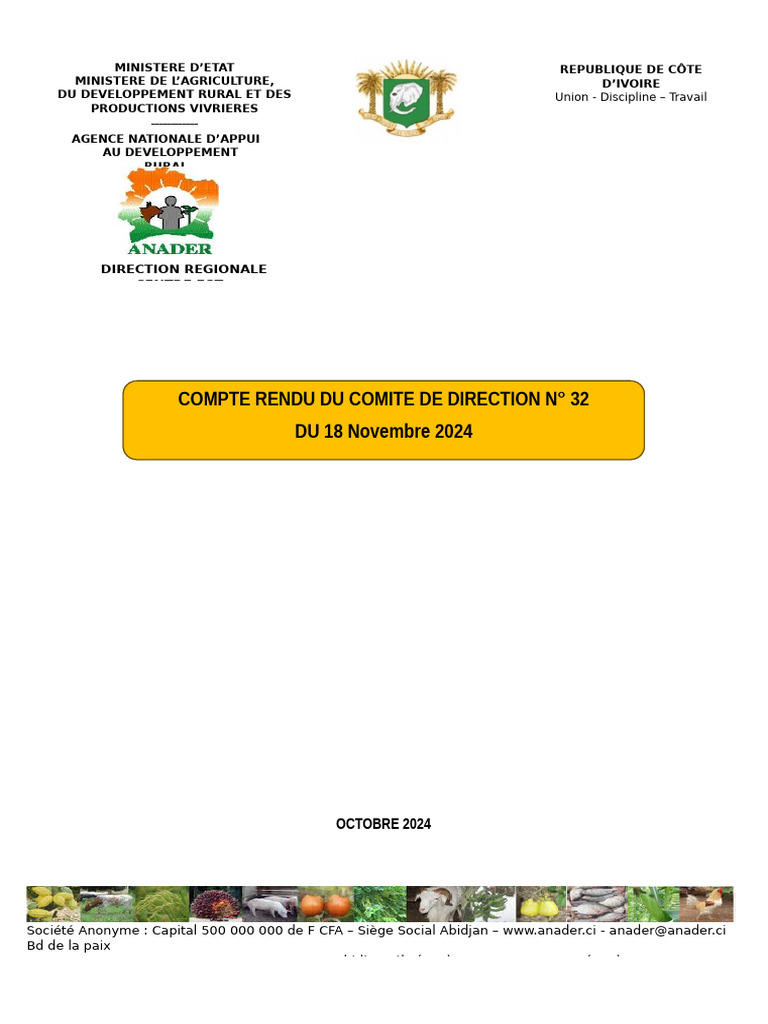 Compte Rendu Comité de Direction N°32 | PDF | Informatique