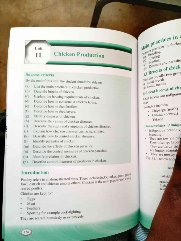 Unit 11 - Chicken Production | PDF