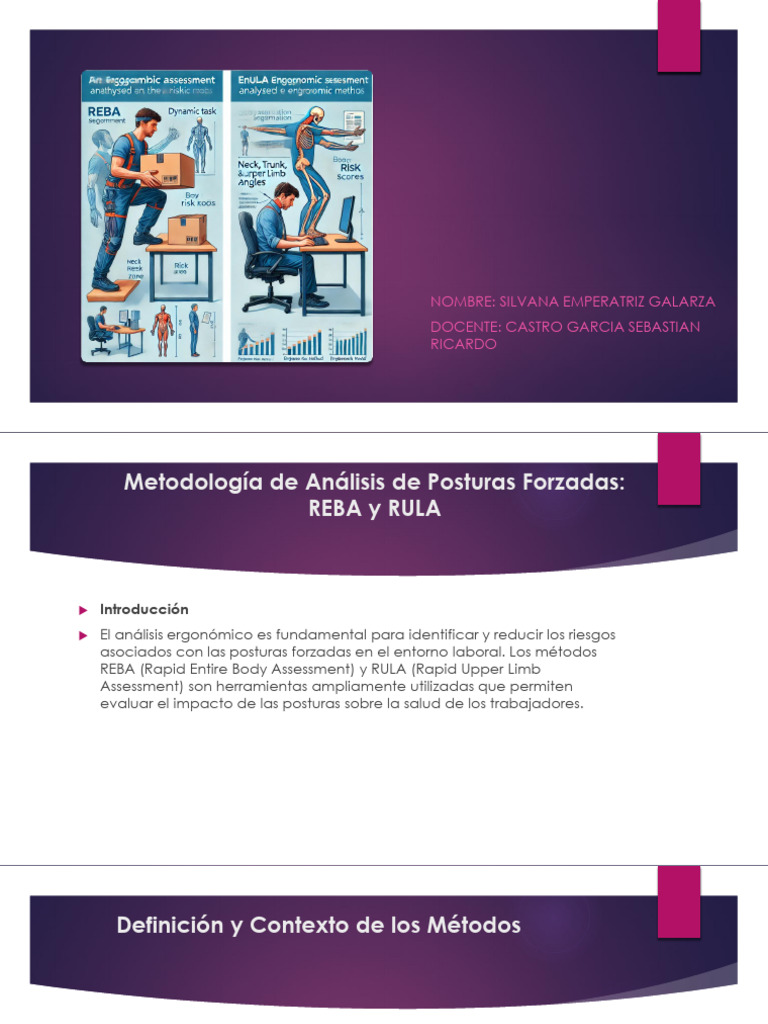 Análisis Ergonómico: Métodos REBA y RULA | PDF | Factores humanos y ...