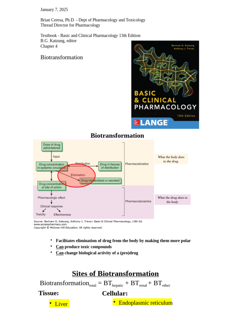 Biotransformation - Dr. Ceresa | PDF | Drug Metabolism | Cytochrome P450
