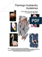 Aza Eaza Flamingo Husbandry Guidelines