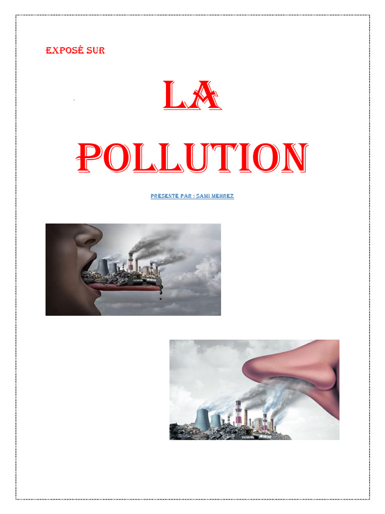 Exposé sur la pollution : causes et effets | PDF | la pollution ...