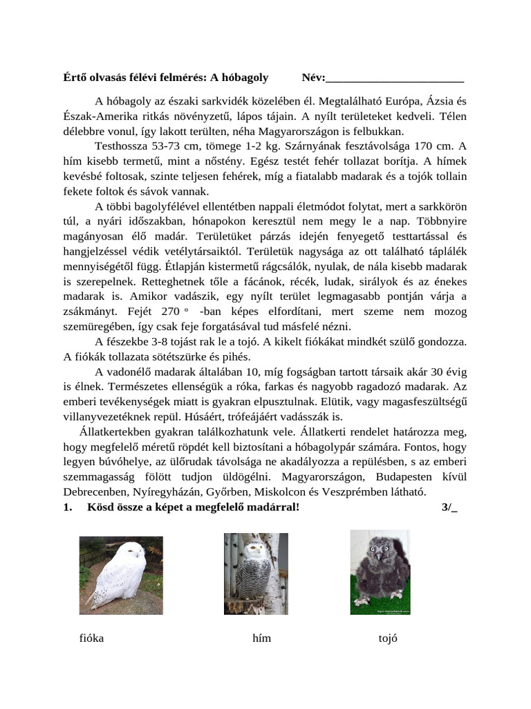 Félévi Értő Olvasás Felmérés Hóbagoly | PDF