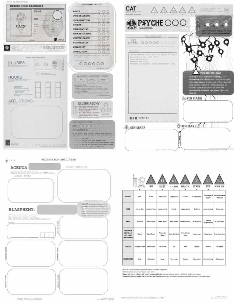 Fillable CAINsheet 1.1 | PDF