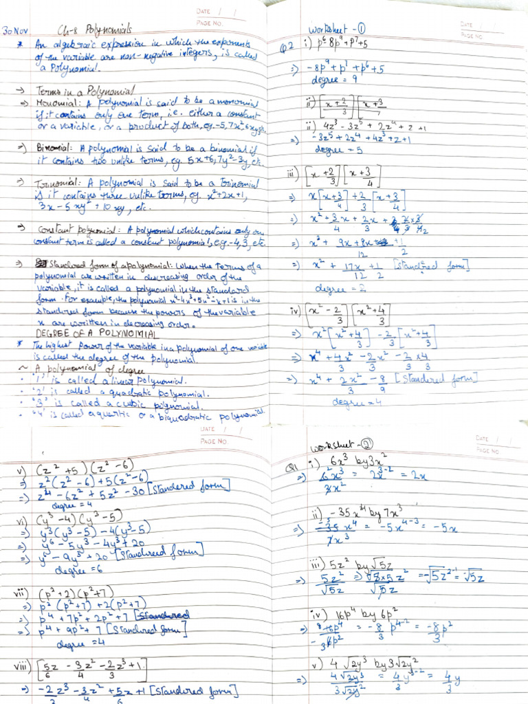 Aarna Goel 8F Math CH - Polynomials | PDF