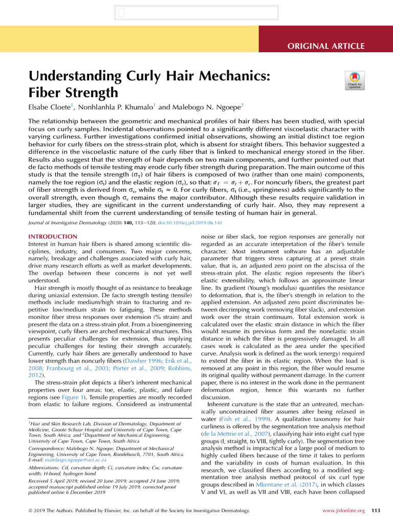 Curly Hair Mechanics and Strength Analysis | PDF | Deformation ...