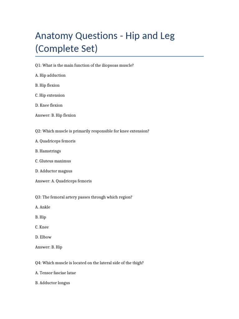 Hip and Leg Anatomy Quiz Questions | PDF | Hip | Human Leg