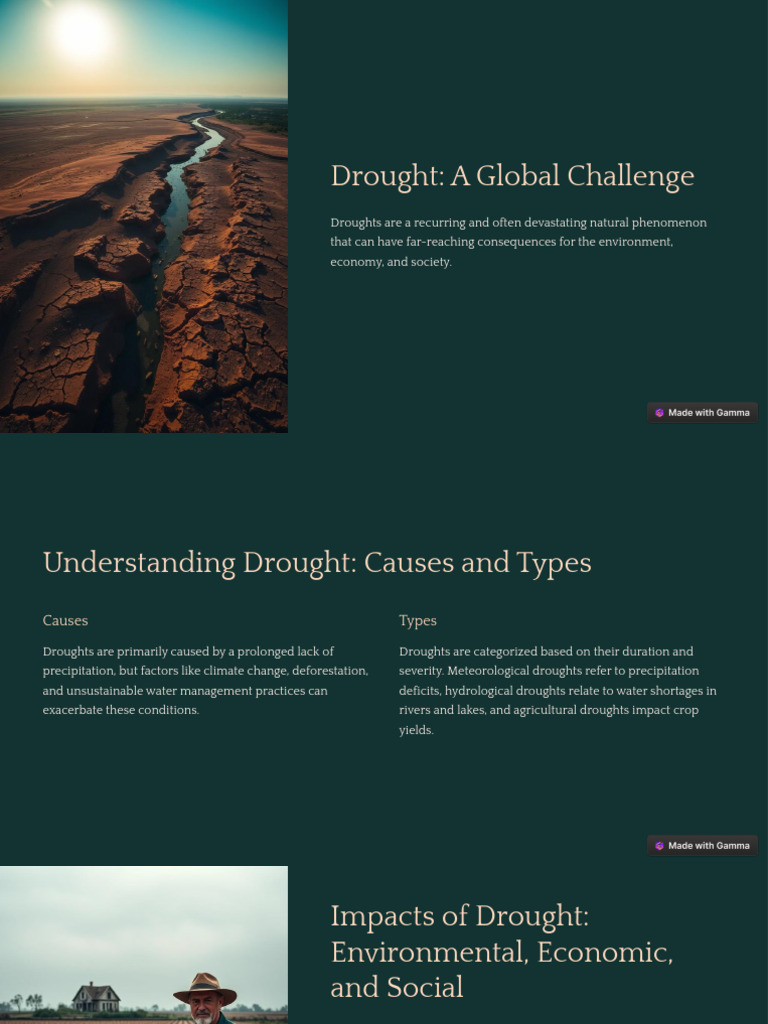 Global Drought: Causes, Impacts, Solutions | PDF | Drought | Agriculture
