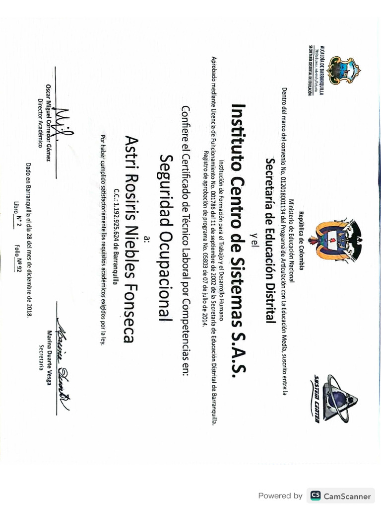 Diploma Técnico Pdf