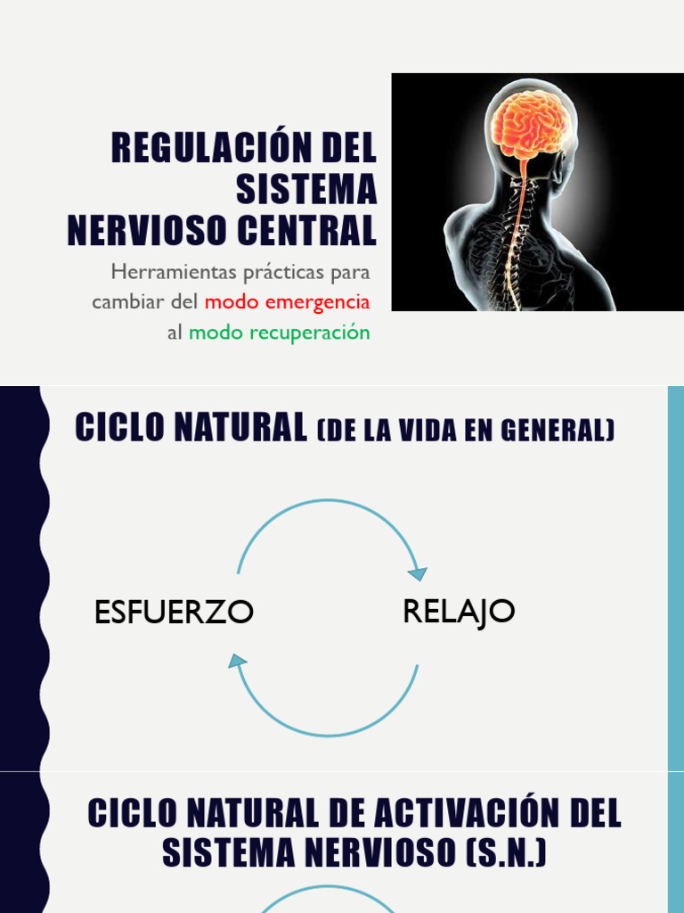 Regulación Del Sistema Nervioso Central | PDF | Conciencia | Neurociencia