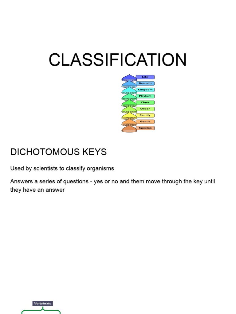 CLASSIFICATION | PDF