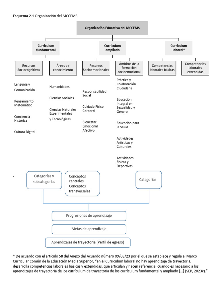 Organización del MCCEMS en Educación | PDF | Plan de estudios ...