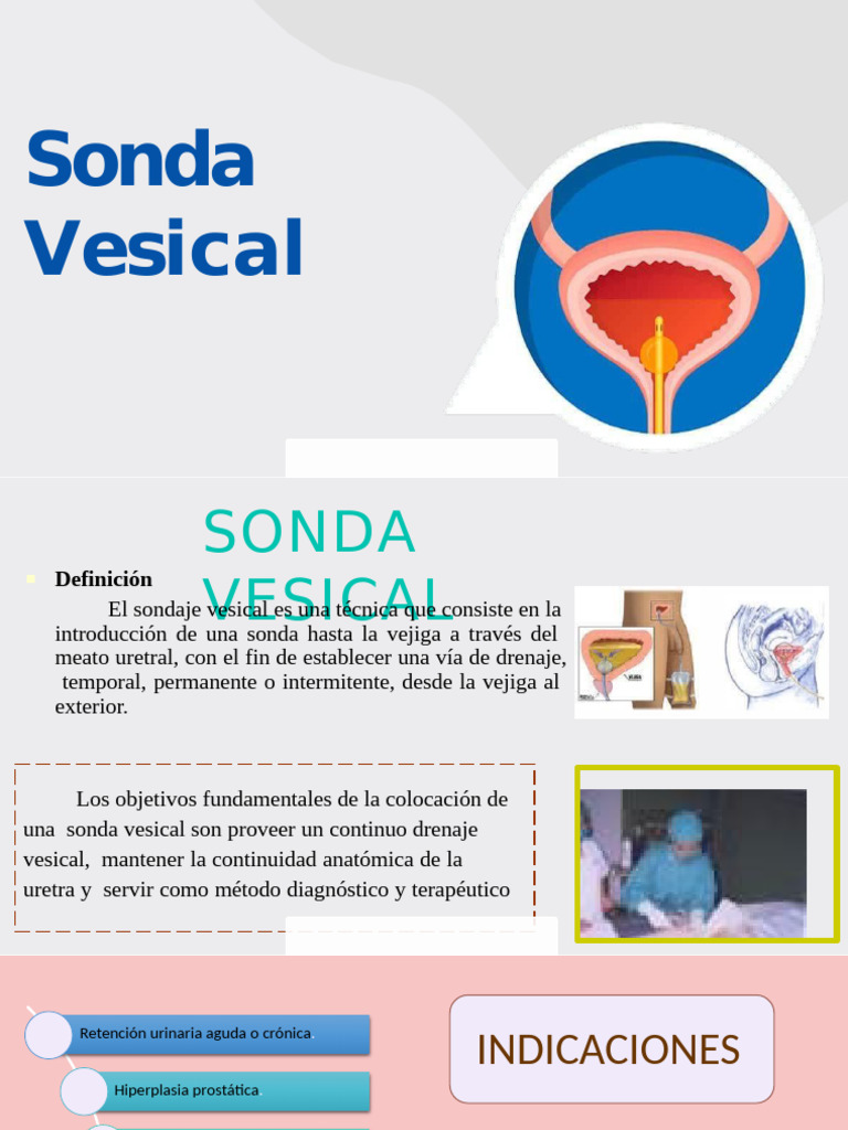 Guía Completa sobre Sonda Vesical | PDF | Urología | Sistema genitourinario