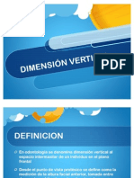 Dimensión Vertical