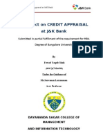 Credit Appraisal by Fawad Yaqub