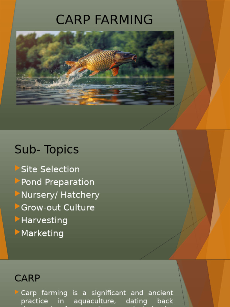 Agric Carp Farming | PDF | Water | Aquaculture