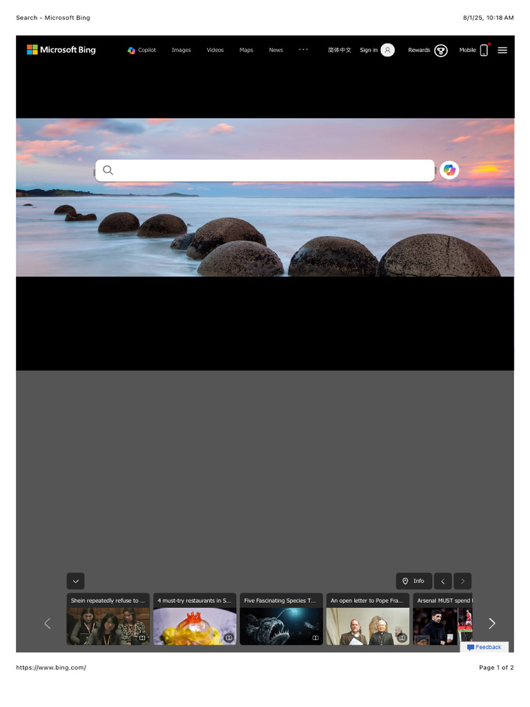 Search - Microsoft Bing | PDF