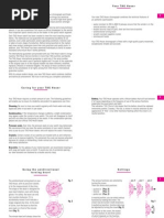 Download Kirium F1 Manual by redline09 SN81295600 doc pdf