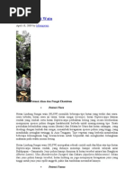 Download Potensi Sungai by Muhammad Fahrullazi SN81295785 doc pdf