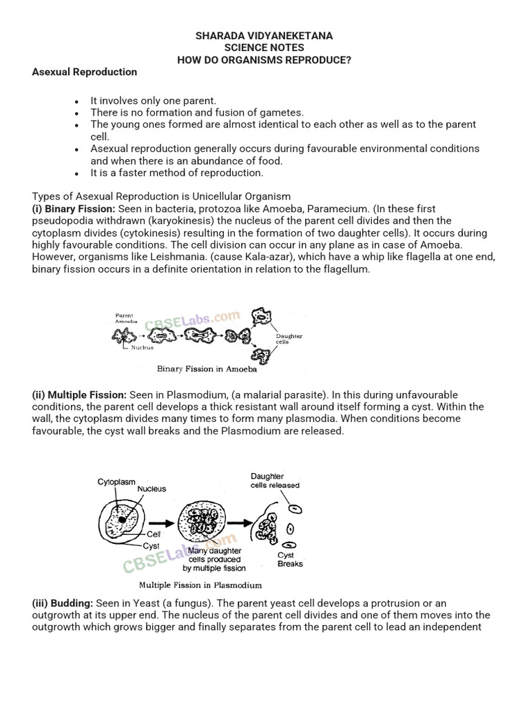 bio note | PDF | Fertilisation | Flowers