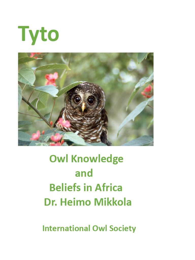 Owl Beliefs and Knowledge in Africa | PDF | Owl